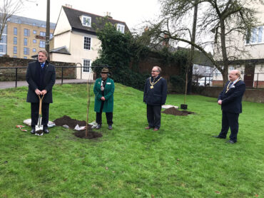 Tree Planting at County Hall for the Queen’s Green Canopy
