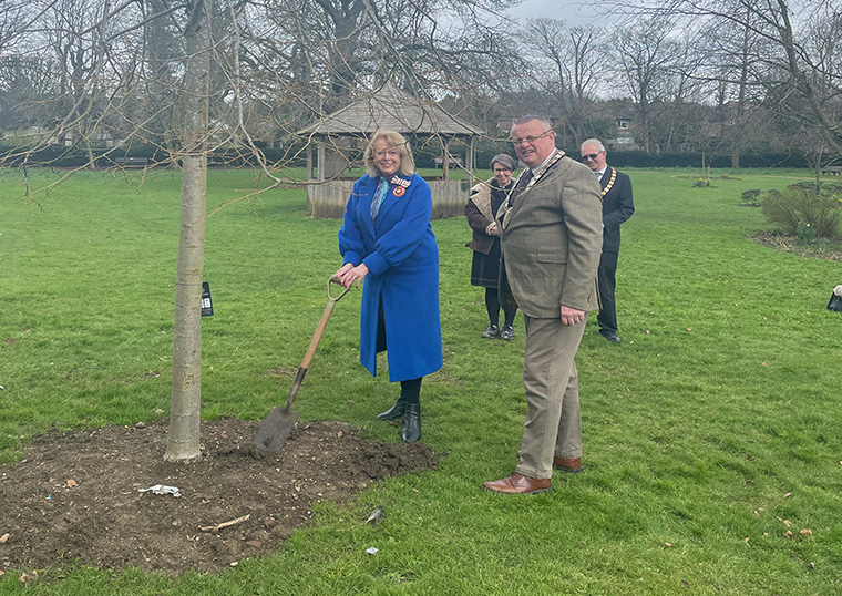 Planting of a Coronation tree in Buntingford